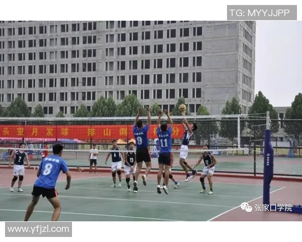 广州排球队在全国排球团队协作排行榜中荣获第十名的佳绩